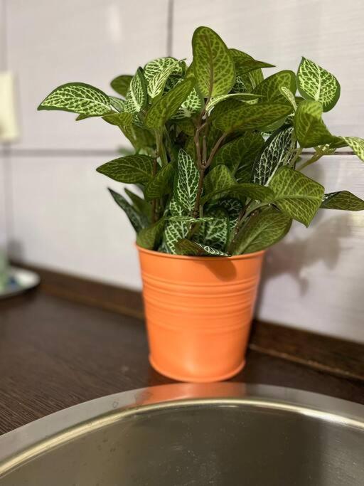 A13 Parliament Sunflower Cozy Apartment ブダペスト エクステリア 写真